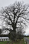 IMG_20260329_173222
