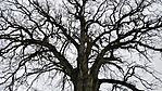 IMG_20260329_173255