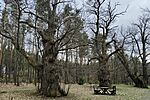 IMG_20260329_154104