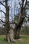 IMG_20260329_154303