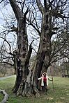 IMG_20260329_154500
