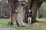 IMG_20260329_155601