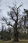 IMG_20260329_155659