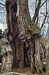 IMG_20260329_155815