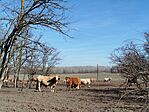 IMG_20260301_112507