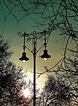 IMG_20260303_155801