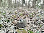 IMG_20260304_155618