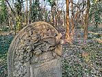 IMG_20260304_154606