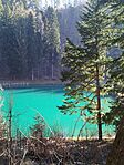 IMG_20260307_085446