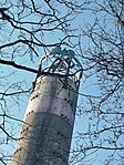 IMG_20260306_154246