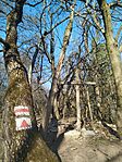 IMG_20260306_152617