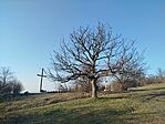 IMG_20260306_160654