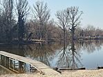 IMG_20260306_144658