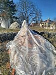IMG_20260306_143032
