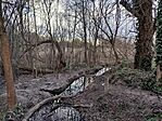 IMG_20260312_161303