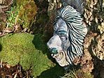 IMG_20260315_151450