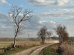 IMG_20260314_165402