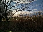 IMG_20260314_170313