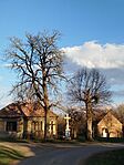 IMG_20260314_164713