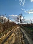 IMG_20260314_163537