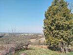 IMG_20260315_105205