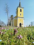 IMG_20260315_105037
