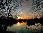 IMG_20260318_185237