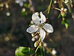 IMG_20260318_162507