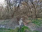 IMG_20260318_161706