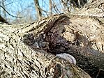 IMG_20260318_160726