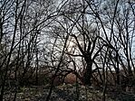 IMG_20260318_160659