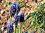 IMG_20260318_184450