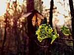 IMG_20260318_185150