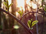 IMG_20260318_185104