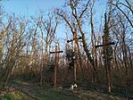 IMG_20260318_170306