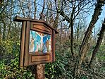 IMG_20260318_170238