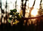 IMG_20260318_184729