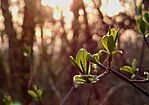 IMG_20260318_184614