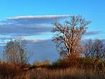 IMG_20260319_182316