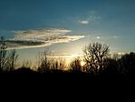 IMG_20260319_182635