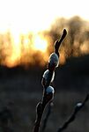 IMG_20260319_182616