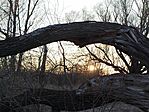 IMG_20260319_172539
