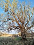 IMG_20260319_170312