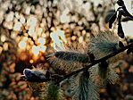 IMG_20260319_182449