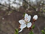 IMG_20260320_162251