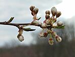 IMG_20260320_161834