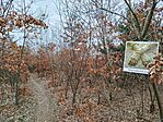 IMG_20260320_163007