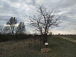 IMG_20260320_162806