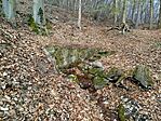 IMG_20260321_091944