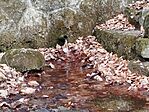 IMG_20260321_092001